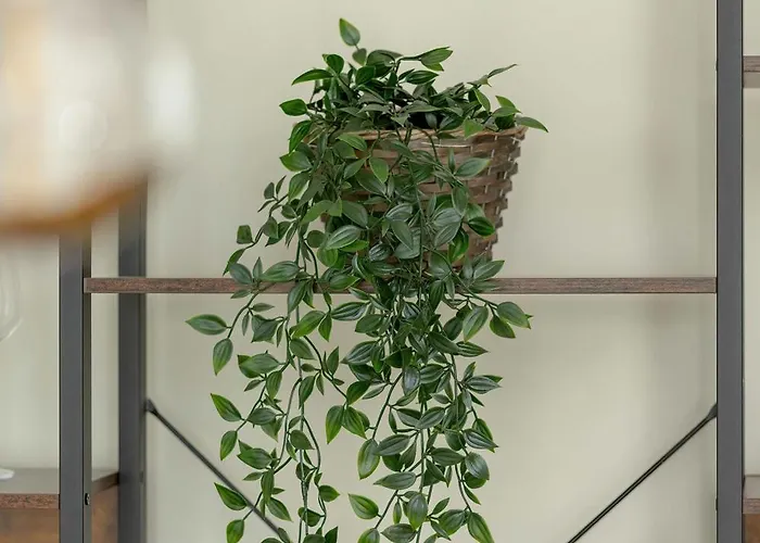 Jasny Z Pieknym Widokiem Na By Renters Gdansk